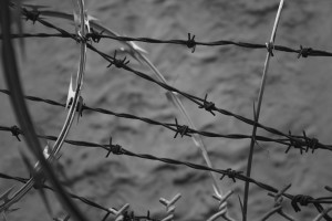 barbed_wire_bw